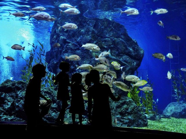 post_capetown_01 https://dev.travelonica.com/wp-content/uploads/2018/08/post_capetown_01-2-640x480.jpg