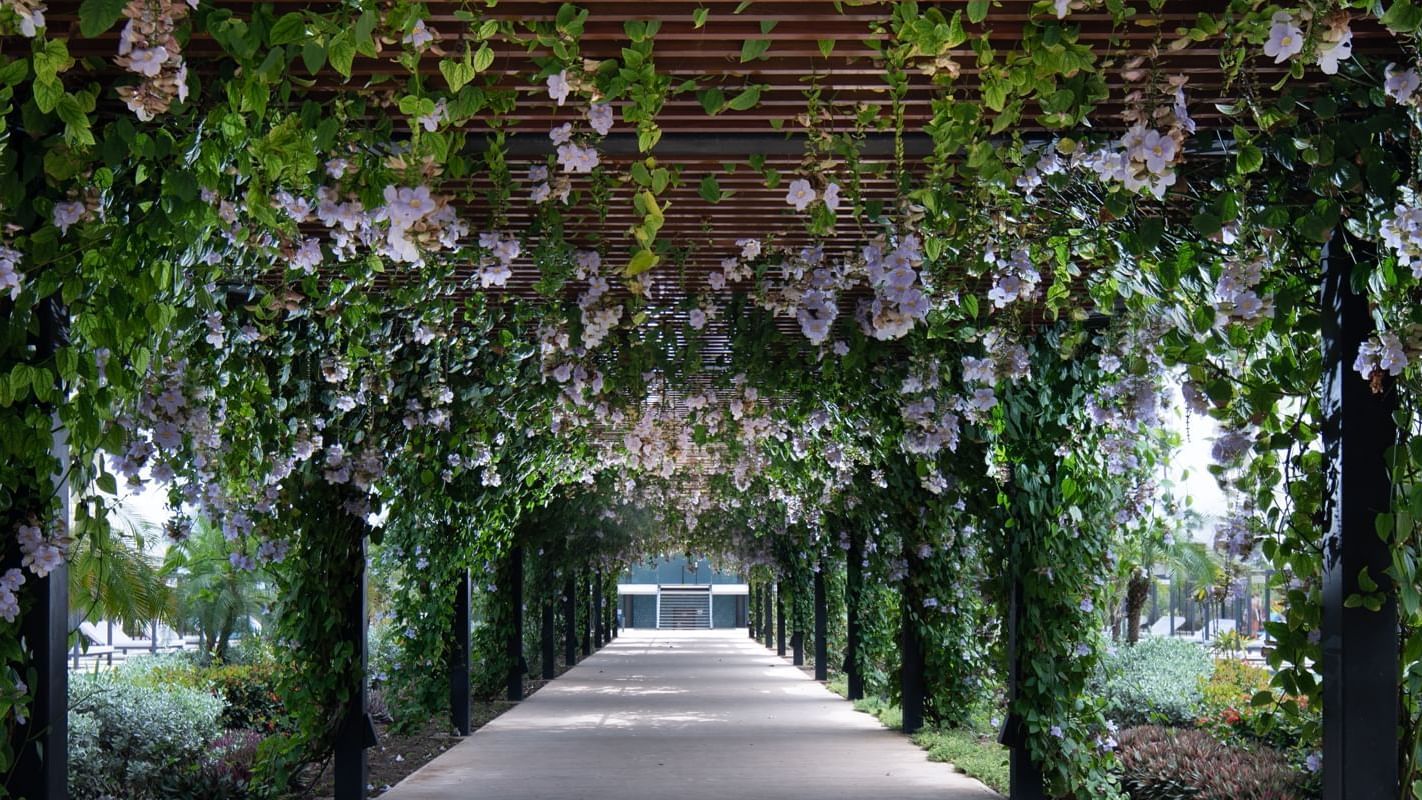 aqp-pasillocentral2-1900x800_wide aqp-pasillocentral2-1900x800_wide