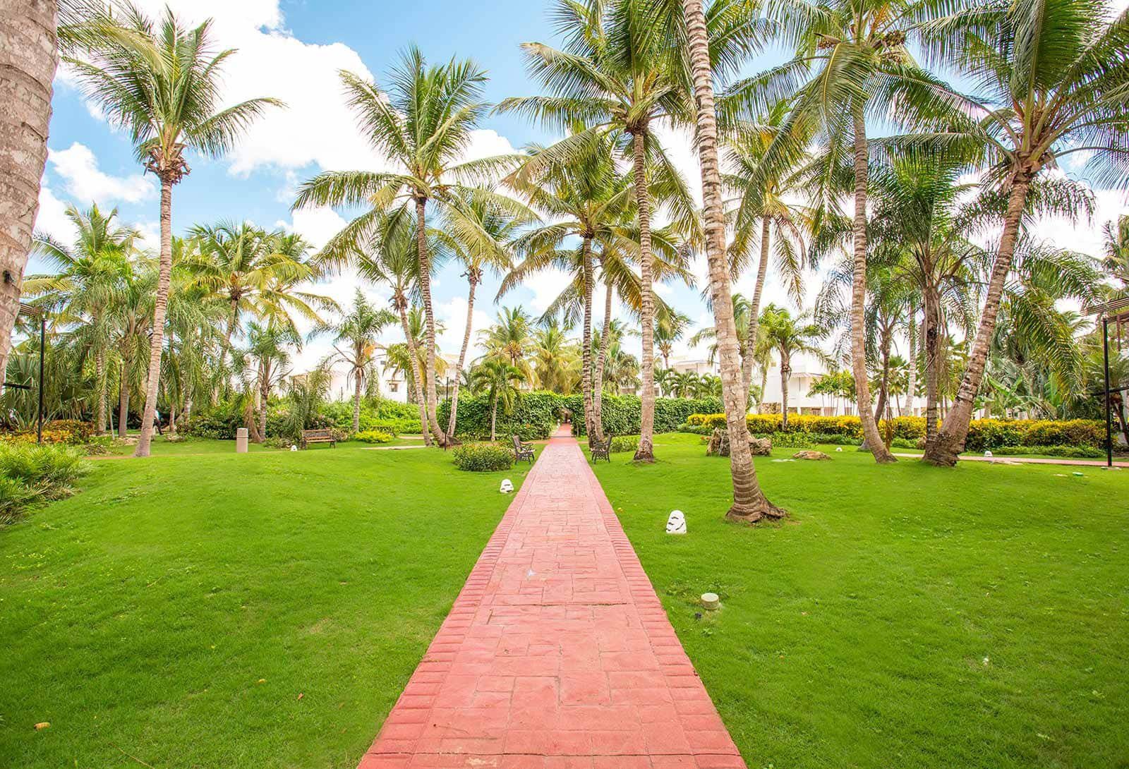 instalaciones_20be_20live_20collection_20canoa instalaciones_20be_20live_20collection_20canoa