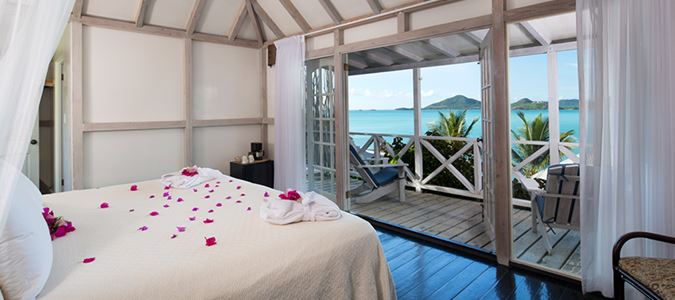 anucoba_a01 anucoba_a01