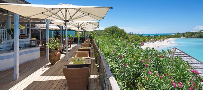 anucoba_d01 anucoba_d01