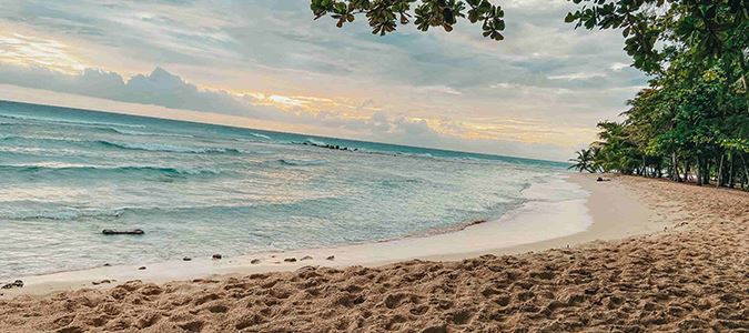 bgisabh_r01 bgisabh_r01