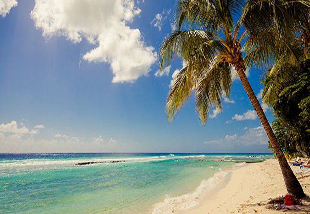 bgisgba_r02 bgisgba_r02