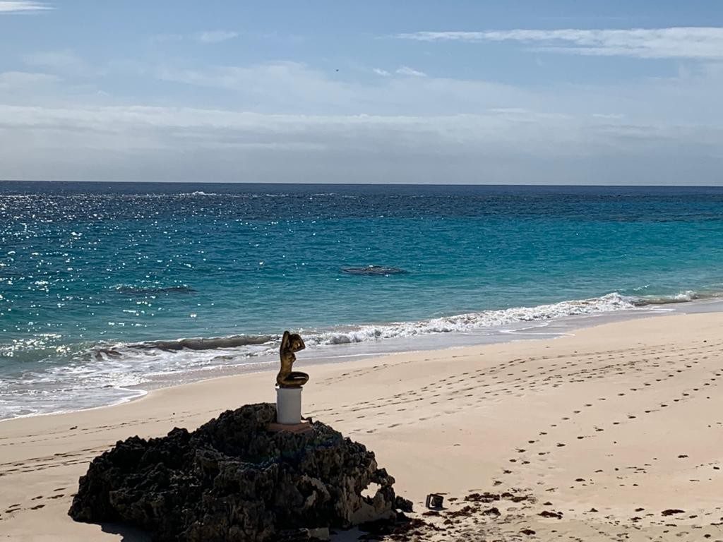 WhatsApp-Image-2021-03-17-at-10.57.29-AM WhatsApp-Image-2021-03-17-at-10.57.29-AM