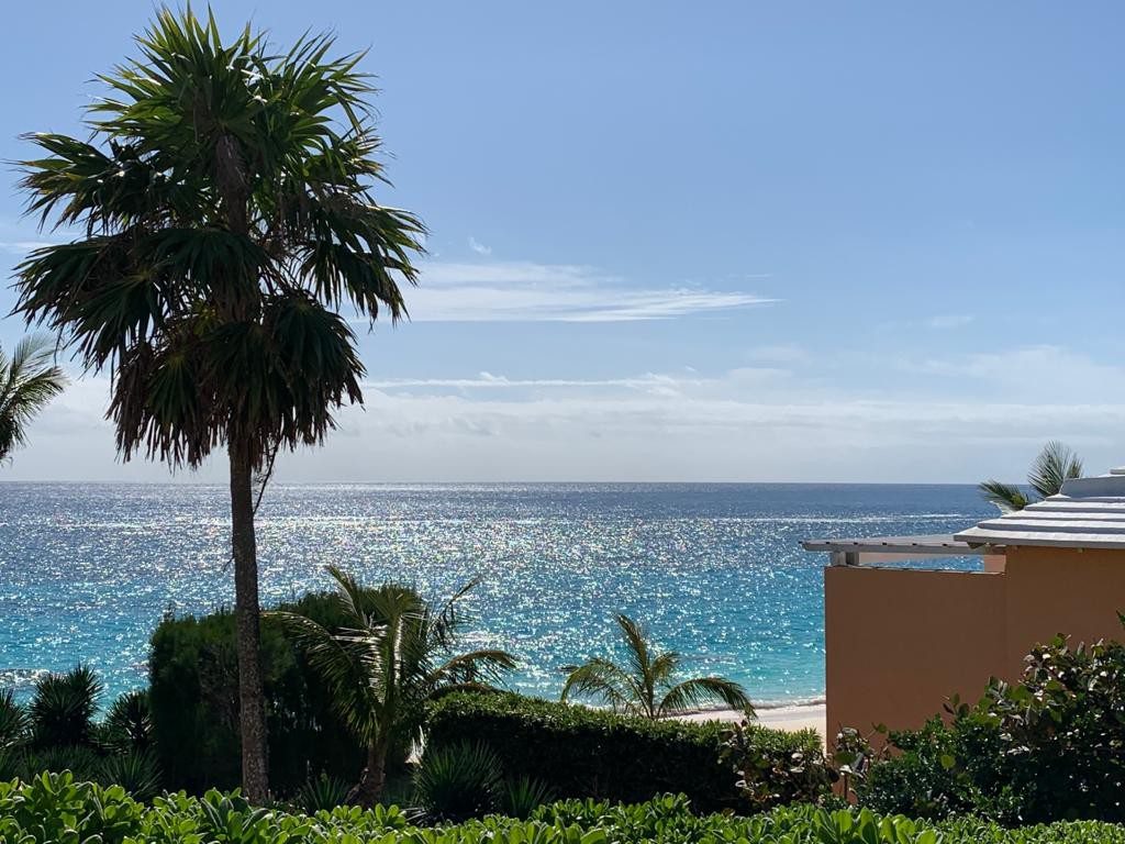 WhatsApp-Image-2021-03-17-at-10.59.09-AM WhatsApp-Image-2021-03-17-at-10.59.09-AM