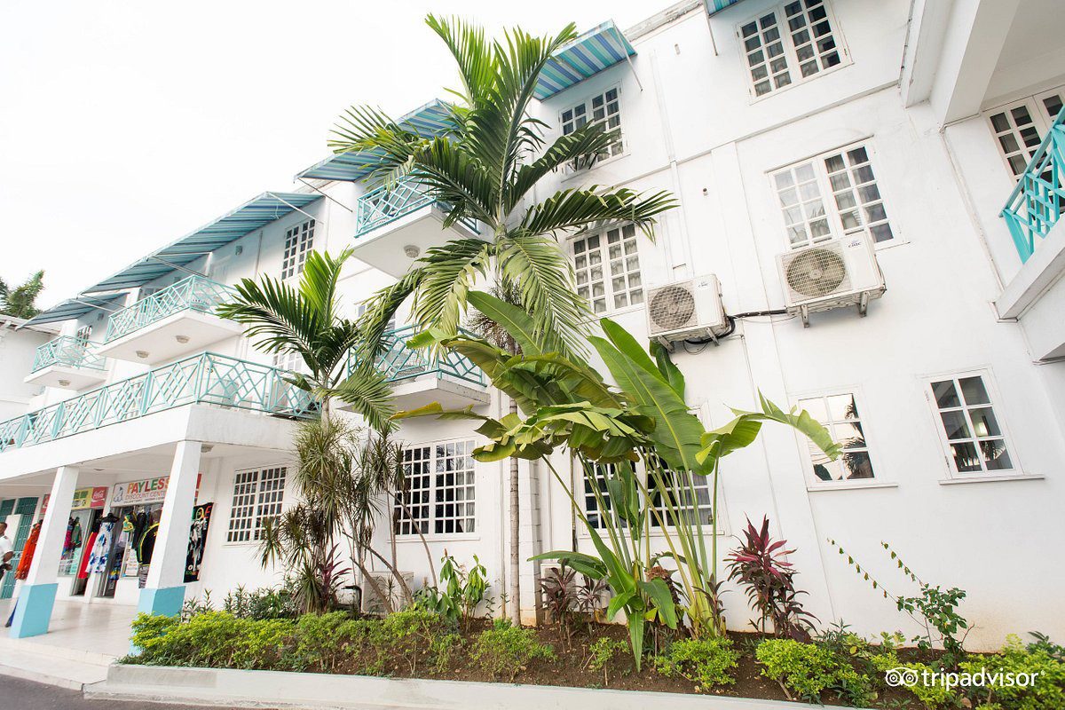 the-hotel--v7809359 the-hotel--v7809359