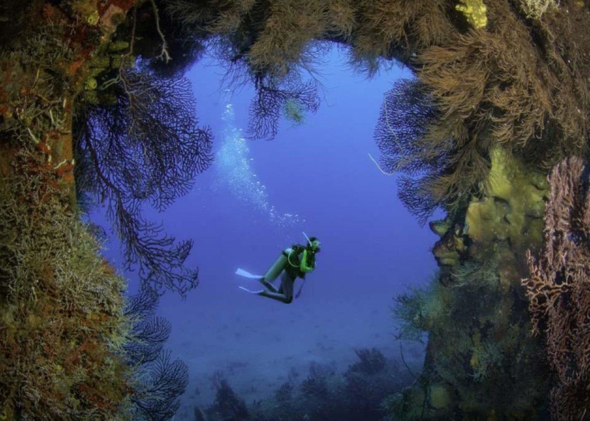 2b2ddfbc06170b12071da7c8a23494f1 2b2ddfbc06170b12071da7c8a23494f1