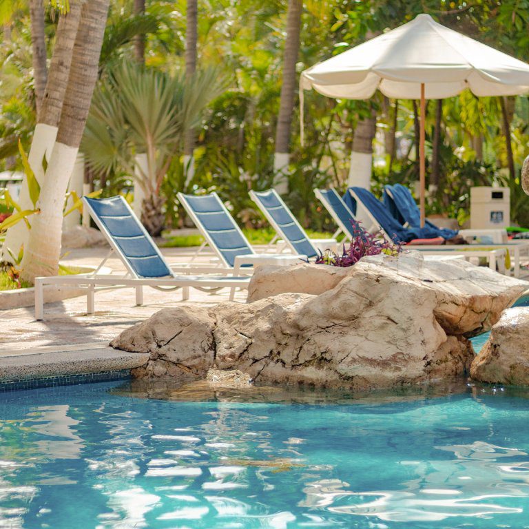 alberca3-295 alberca3-295