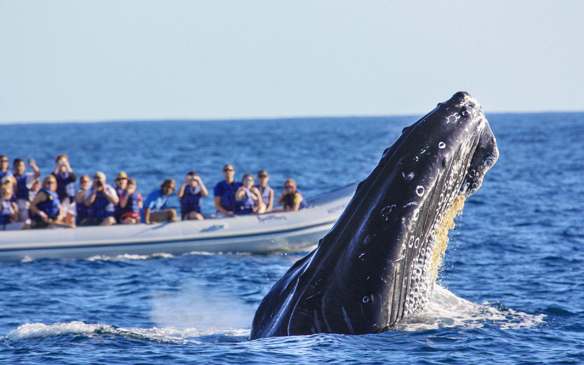 15-PBonito-SunsetB-Gallery-564df3e213a45 15-PBonito-SunsetB-Gallery-564df3e213a45