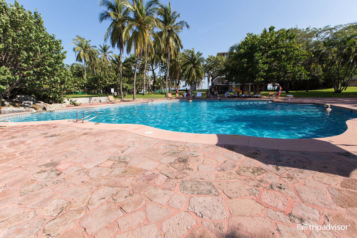 alberca-chapultepec--v8478962