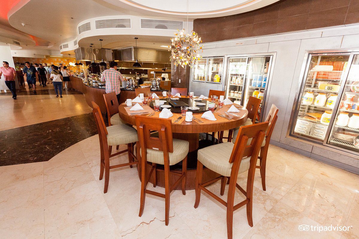 carnivore--v16019699 carnivore--v16019699