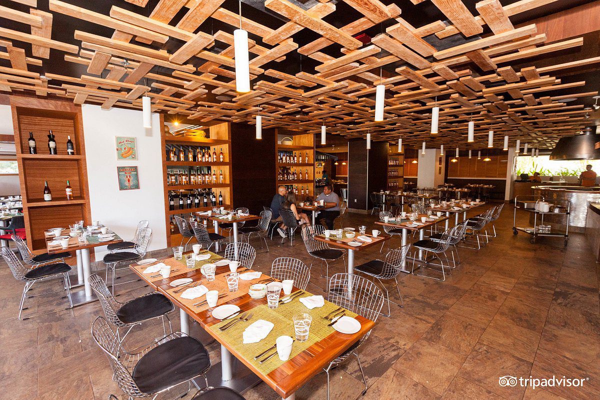 marche--v16019743 marche--v16019743