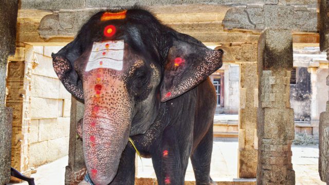 8 https://dev.travelonica.com/wp-content/uploads/2023/07/8-640x360.jpg