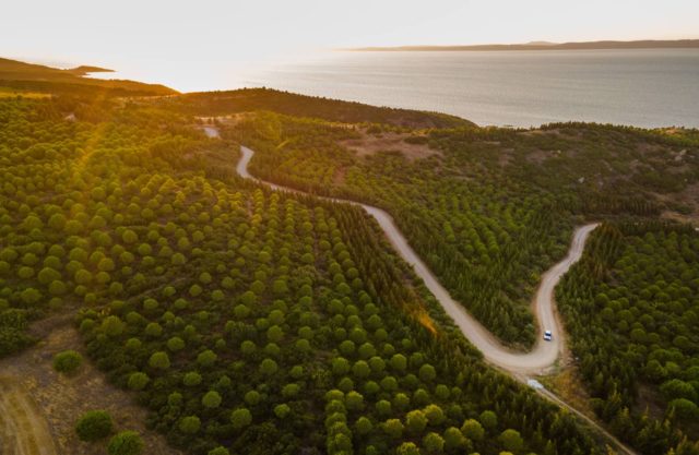 iStock-1421236404 https://dev.travelonica.com/wp-content/uploads/2023/07/iStock-1421236404-640x417.jpg