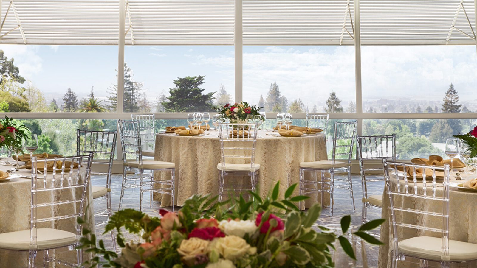 14a742aa-8237-4145-b7de-2167d73ad77f 14a742aa-8237-4145-b7de-2167d73ad77f