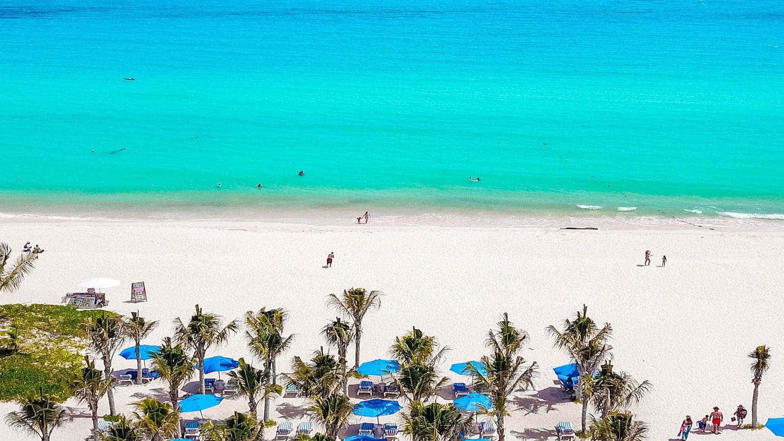 1603288575-5f903dffc3744-thumb_standard