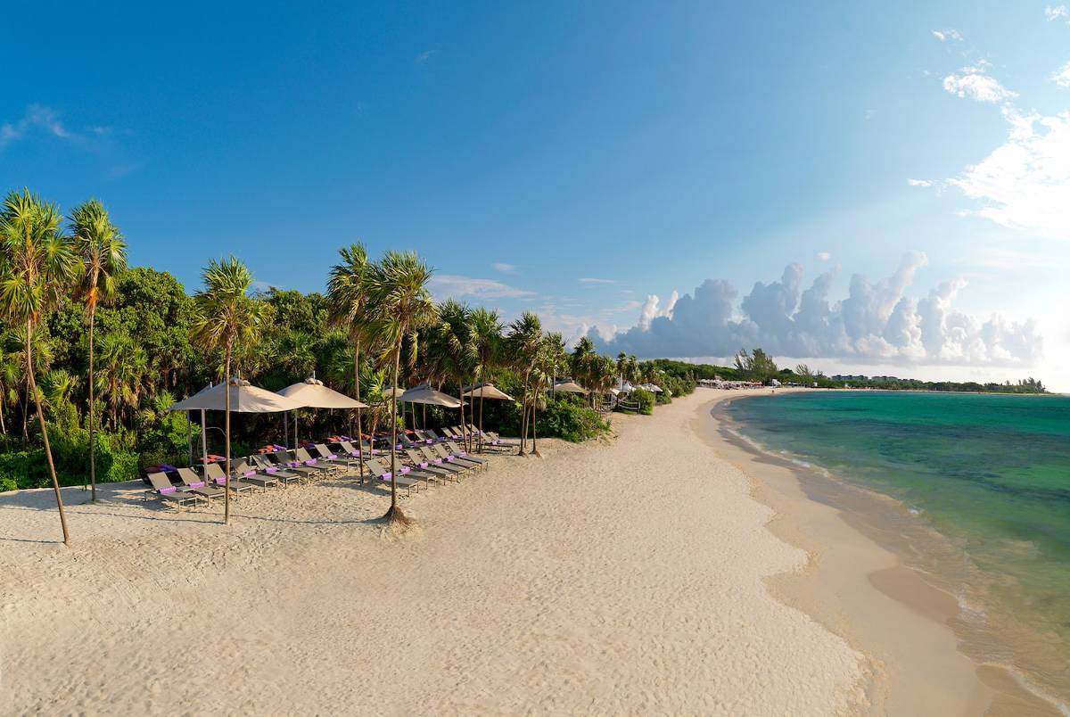 368d1fcbf3e3274d318923a8f93ea6dd-1625754553 368d1fcbf3e3274d318923a8f93ea6dd-1625754553