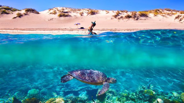 https://dev.travelonica.com/wp-content/uploads/2023/08/Experience-the-natural-wonders-of-the-Ningaloo-Reef-640x360.jpg