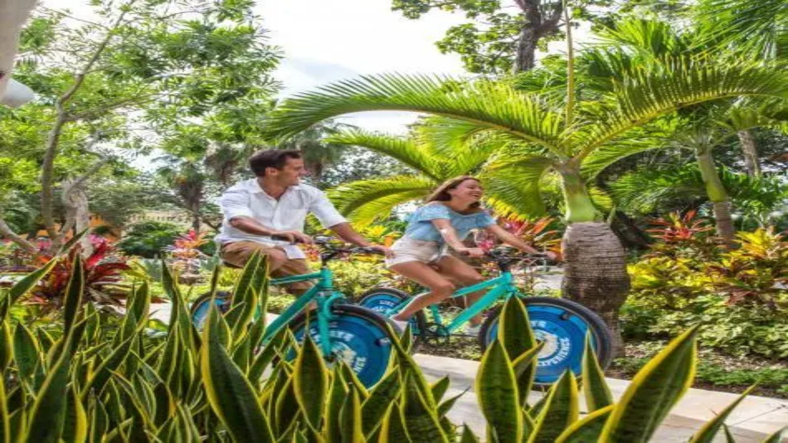 Sandos_Playacar_Activities_28-min