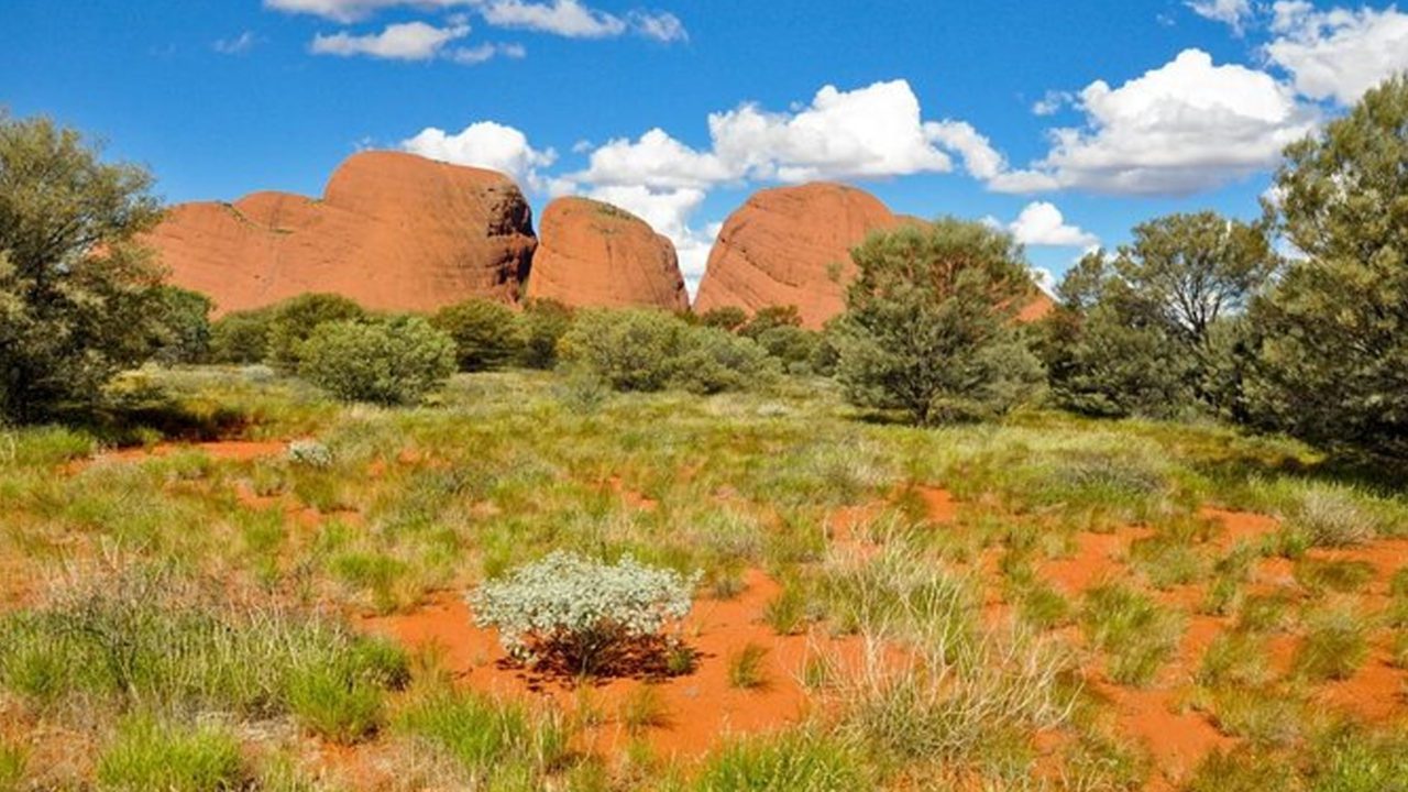 See the unique wildlife of Alice Springs Desert Park https://dev.travelonica.com/wp-content/uploads/2023/08/See-the-unique-wildlife-of-Alice-Springs-Desert-Park-1280x720.jpg