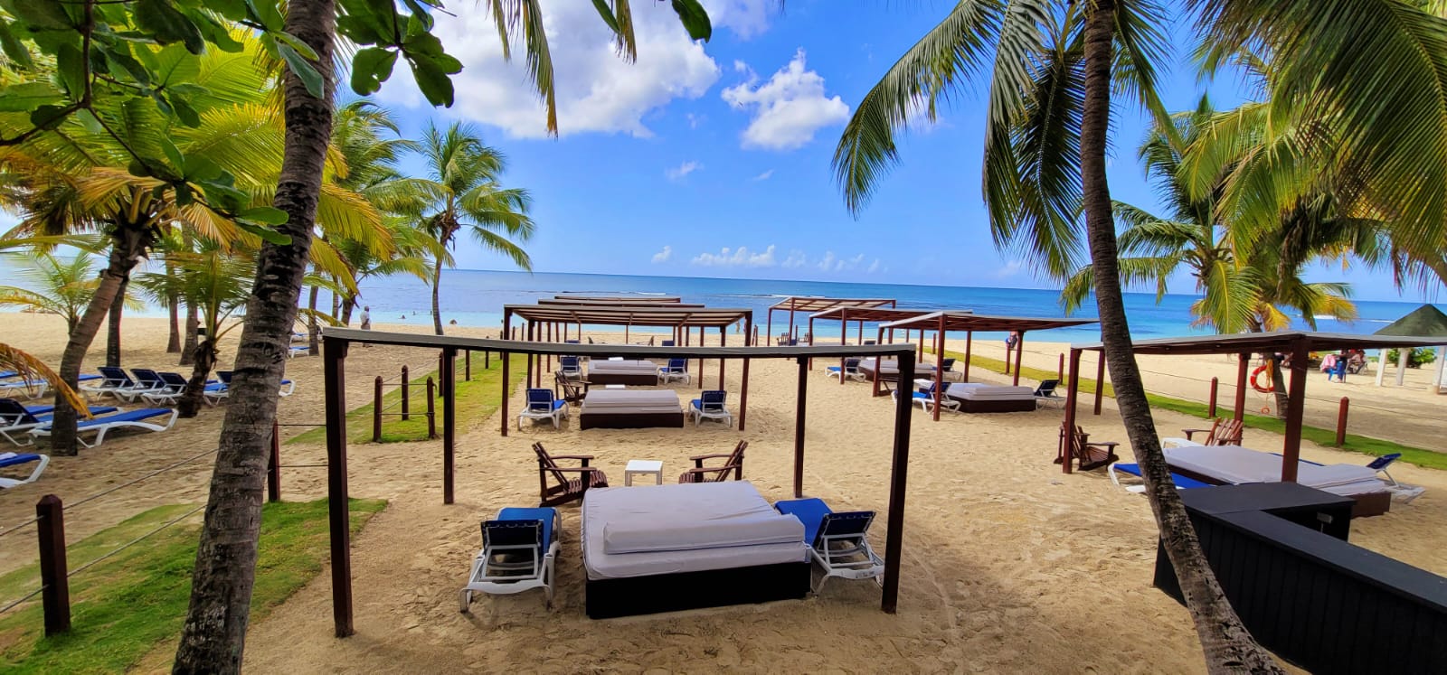 WhatsApp Image 2023-08-08 at 4.55.36 PM (1) WhatsApp Image 2023-08-08 at 4.55.36 PM (1)