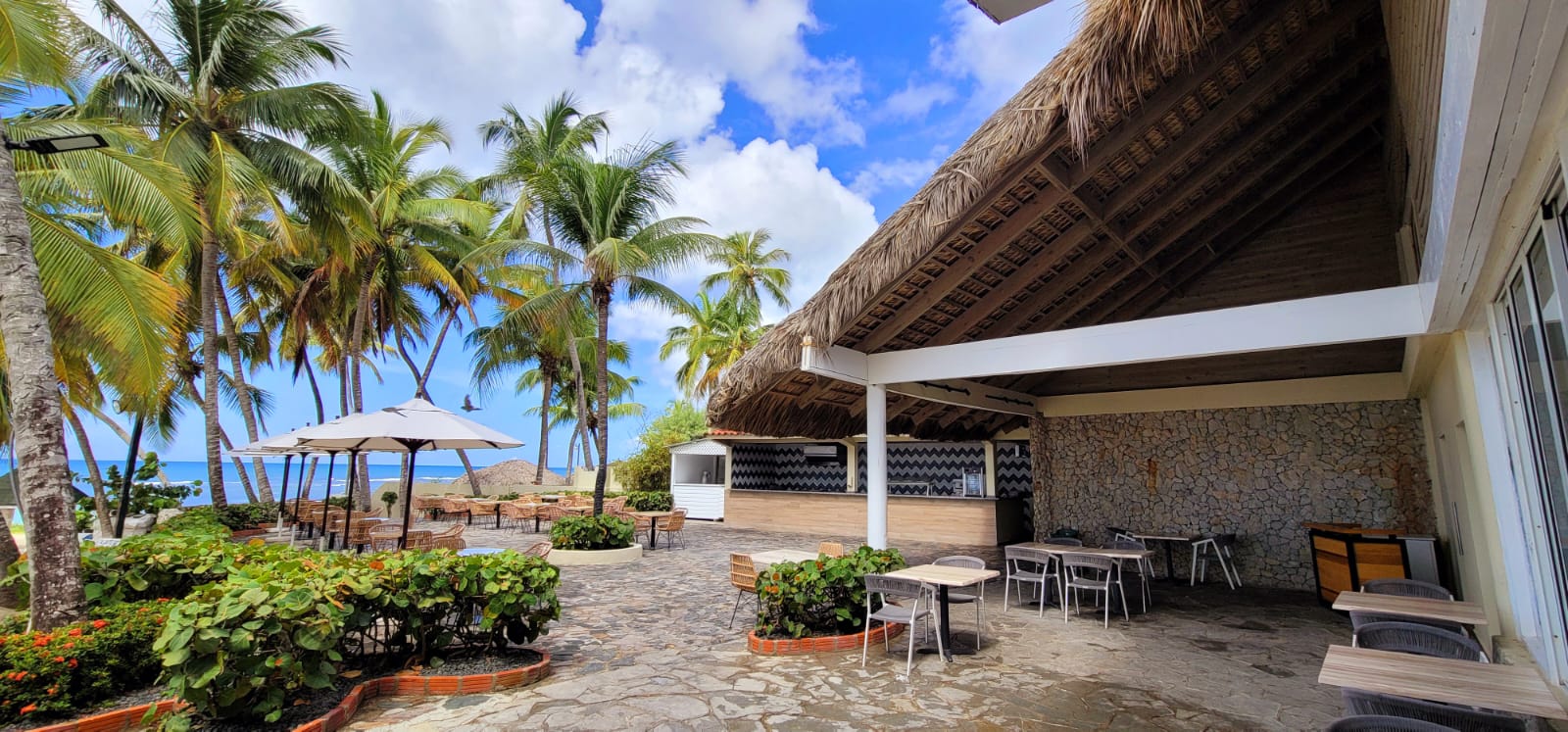 WhatsApp Image 2023-08-08 at 4.55.36 PM WhatsApp Image 2023-08-08 at 4.55.36 PM