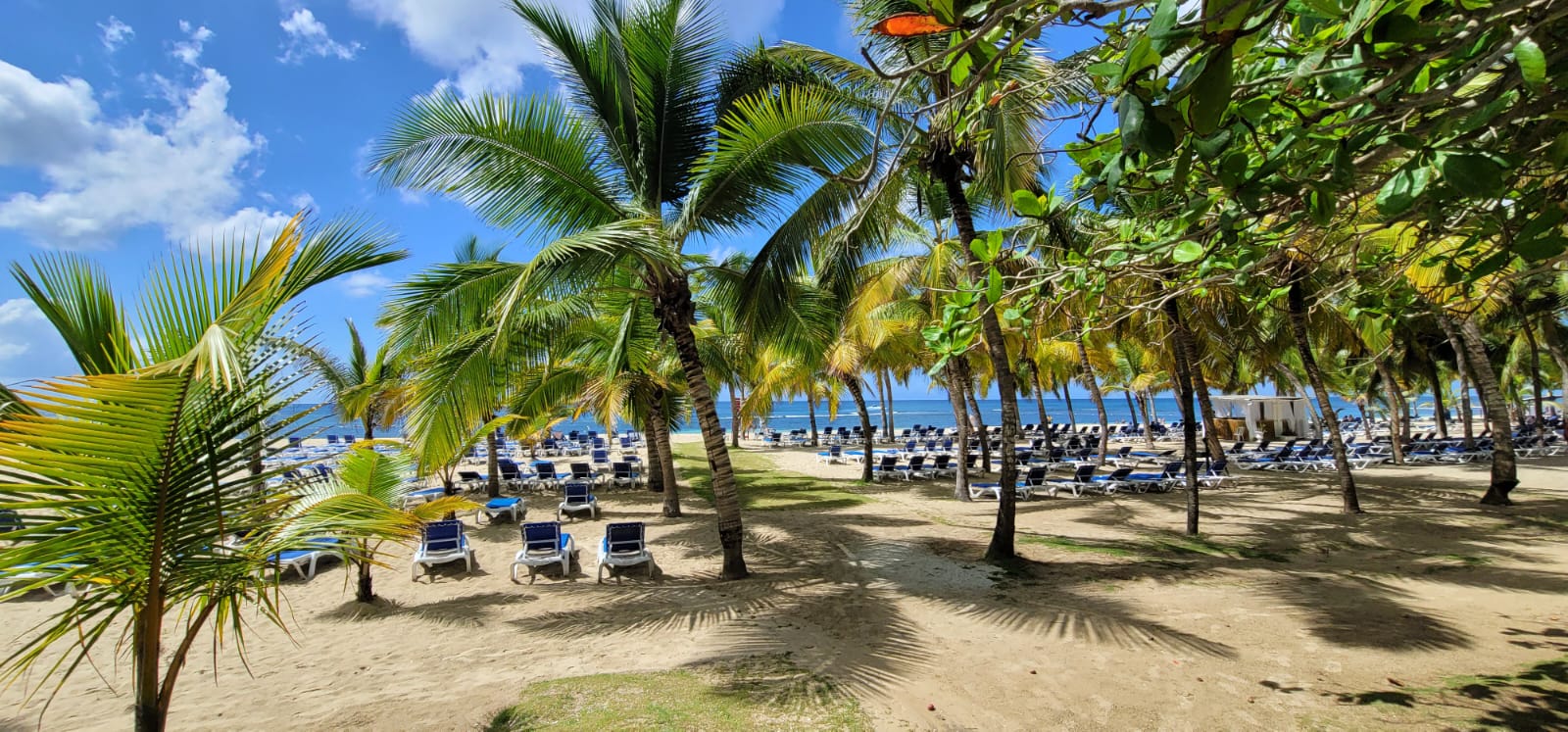 WhatsApp Image 2023-08-08 at 4.55.37 PM (1) WhatsApp Image 2023-08-08 at 4.55.37 PM (1)