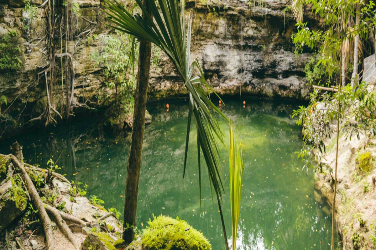 a3039d83eb1e8ed41ba9488978efe991 a3039d83eb1e8ed41ba9488978efe991