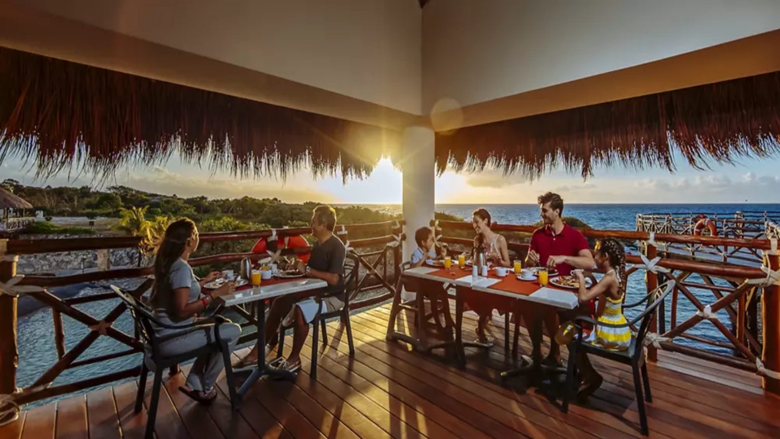 OXCA_GAST_33 OXCA_GAST_33