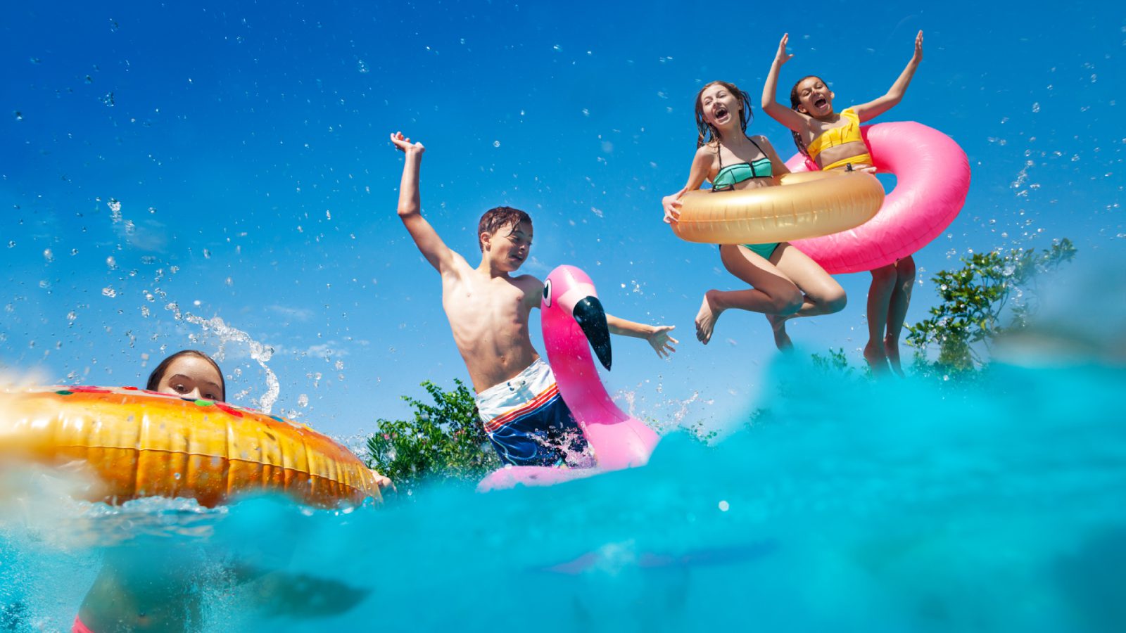 shutterstock_1824937310 shutterstock_1824937310