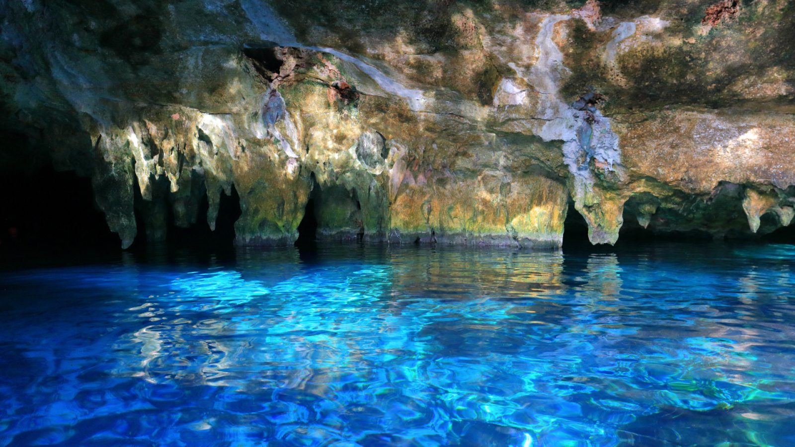 shutterstock_1890368590-1920x1080 shutterstock_1890368590-1920x1080