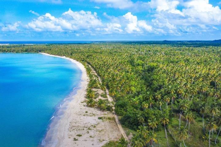 58586_beach_view_2 (1)